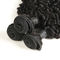 Cheveux véritables de crochet de vague d'eau 9A, armure de vague d'eau de 100 Remy aucun embrouillement fournisseur