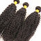 Les cheveux bouclés de la Vierge 100 non-traitée empaquettent la ligne naturelle de cheveux aucun rejet fournisseur