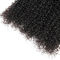 Les cheveux bouclés de la Vierge 100 non-traitée empaquettent la ligne naturelle de cheveux aucun rejet fournisseur