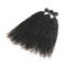 Les cheveux bouclés de Vierge noire naturelle empaquettent/cheveux bouclés d'armure 3 paquets fournisseur