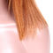 Perruques de regard naturelles de dentelle de cheveux de Vierge, perruques en soie d'avant de dentelle de cheveux droits fournisseur