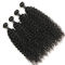 Cheveux sains épais de crochet de vague d'eau/prolongements purs de cheveux d'armure de l'eau fournisseur